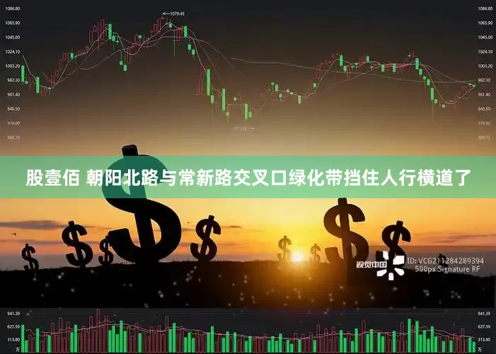 股壹佰 朝阳北路与常新路交叉口绿化带挡住人行横道了