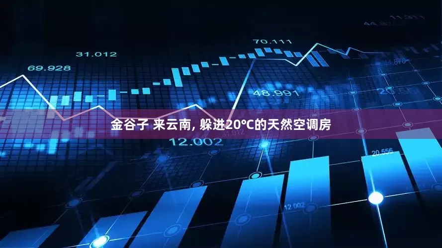 金谷子 来云南, 躲进20℃的天然空调房